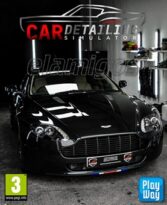 Car Detailing Simulator