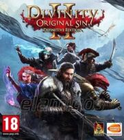 Divinity: Original Sin 2 Definitive Edition
