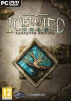 Icewind Dale: Enhanced Edition