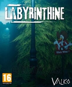 Labyrinthine