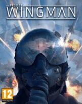 Project Wingman