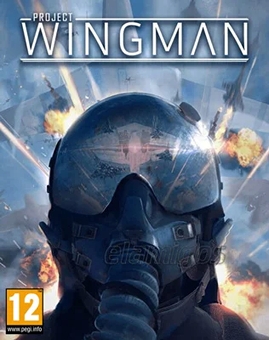Project Wingman
